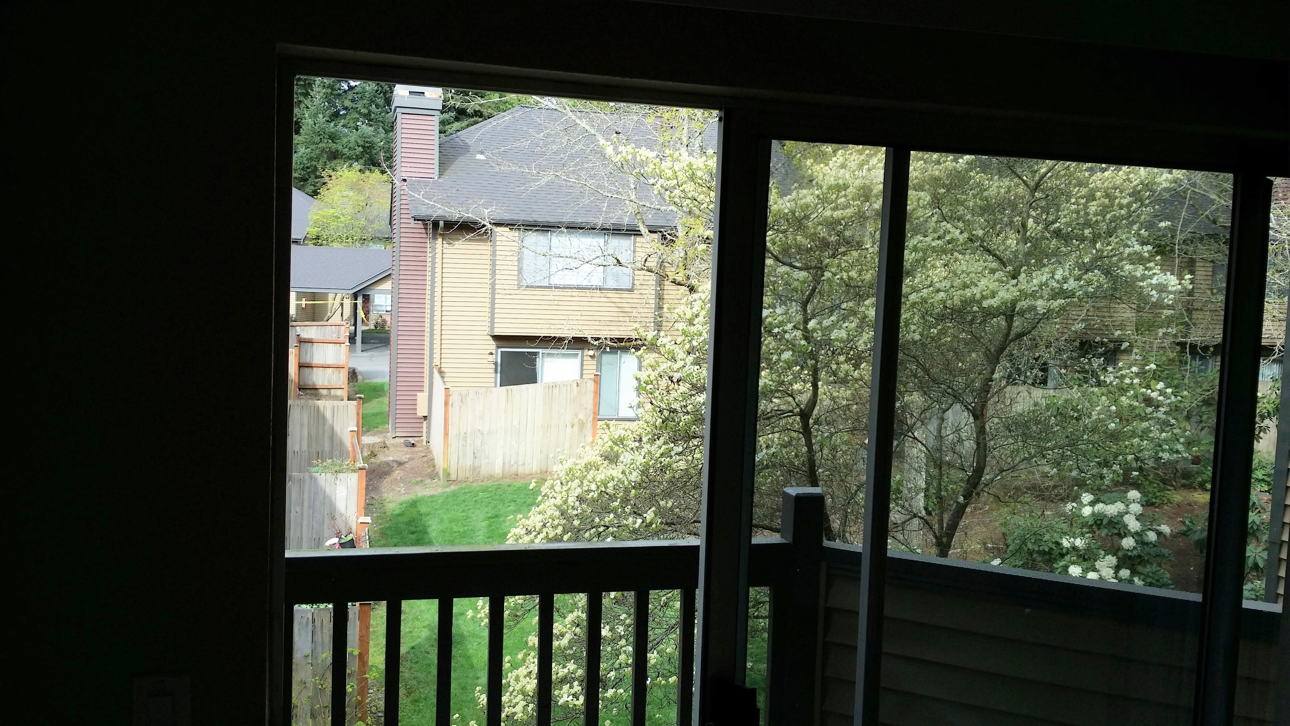 View from living room