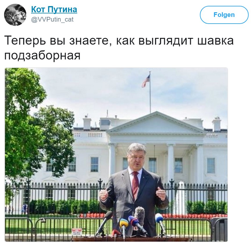 YoZk7bbgKwk.jpg