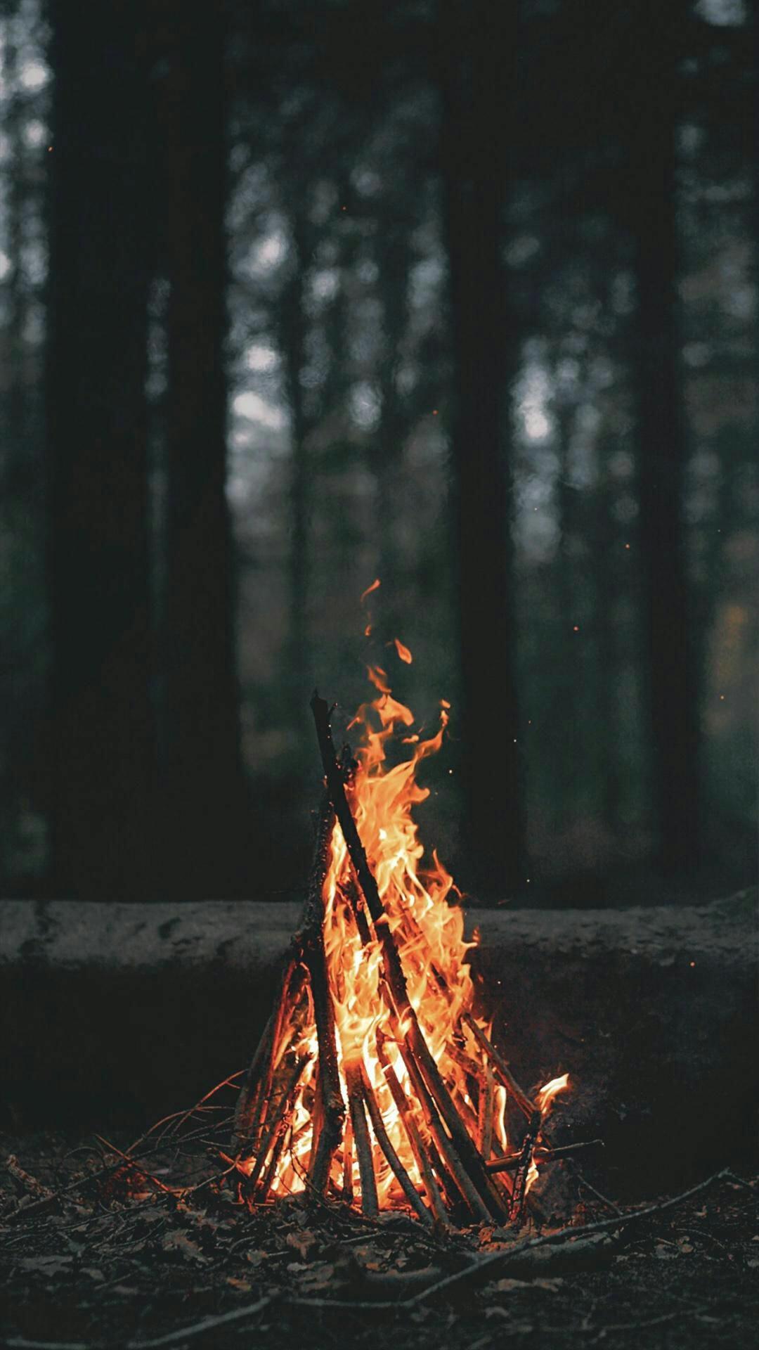 Firee