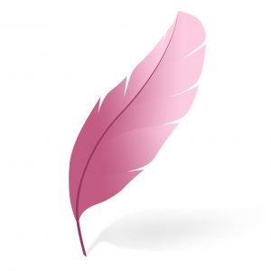 24-feather.jpg