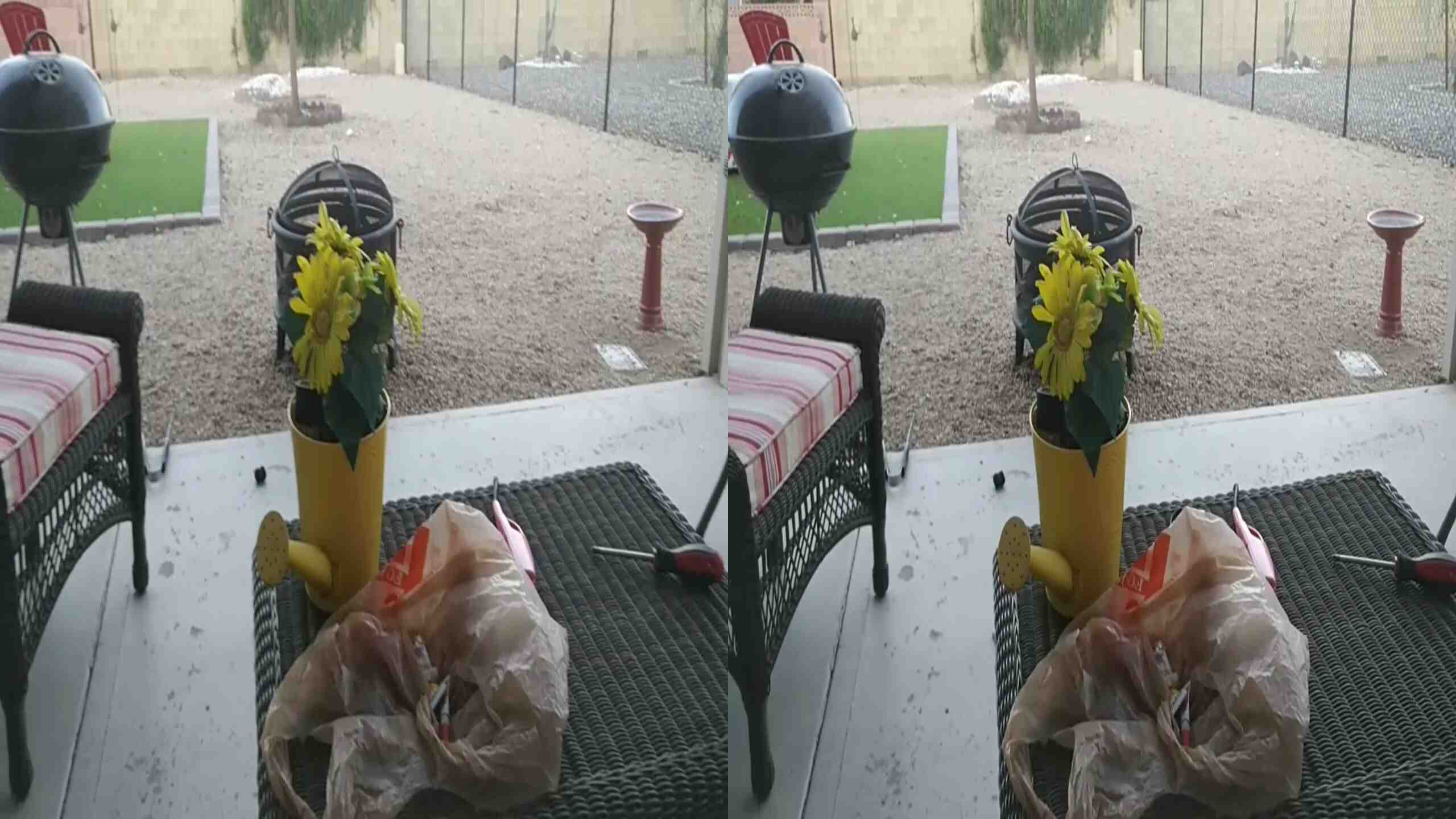 img.jpg