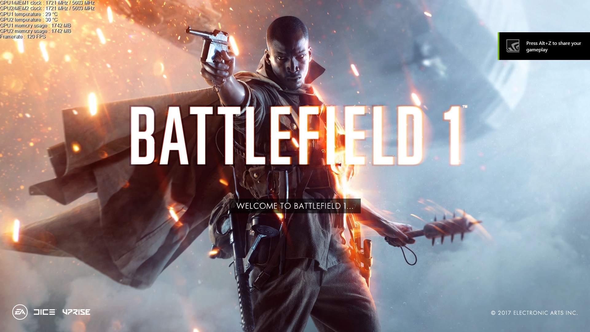 BF1_1.jpg