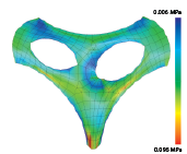 03_01_Form_and_Structure_05_formfinding-04-01.png