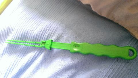 RIS.jpg