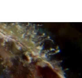 Screenshotfrom2017-07-05225244.png
