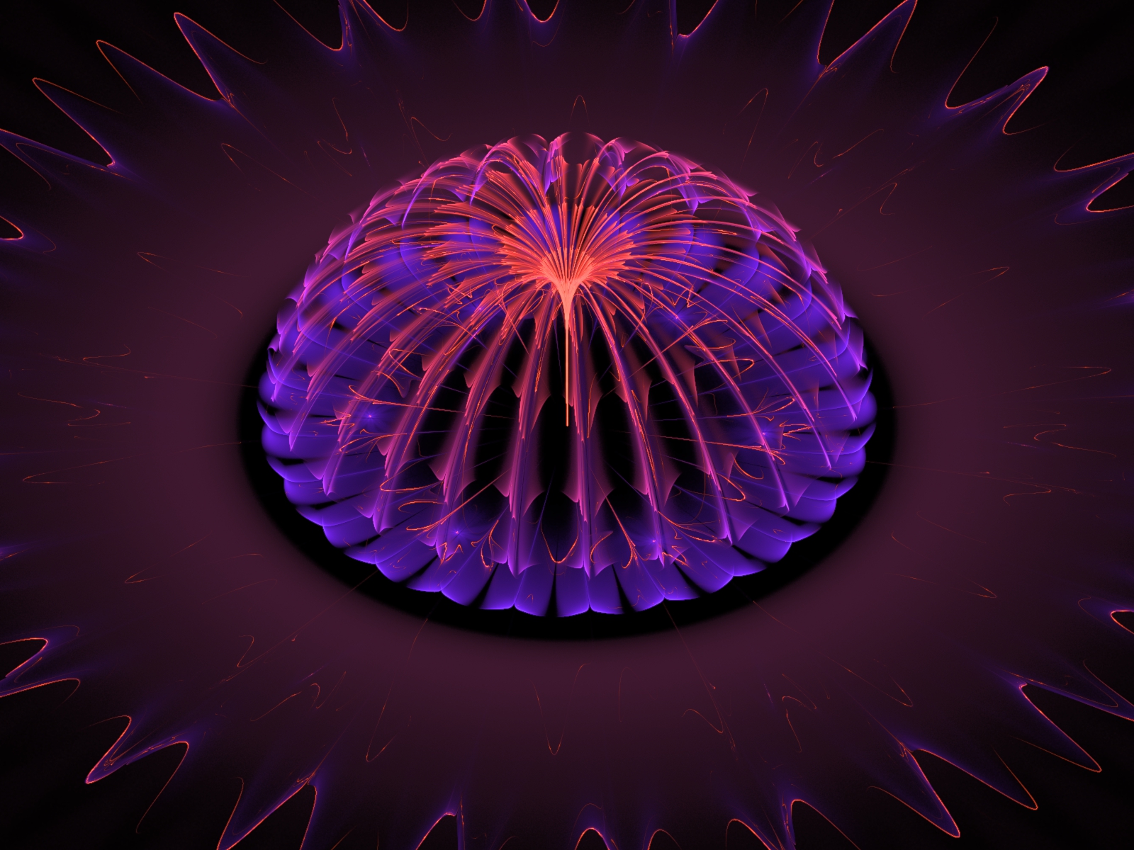 Another fractal flame that looks like a flower
