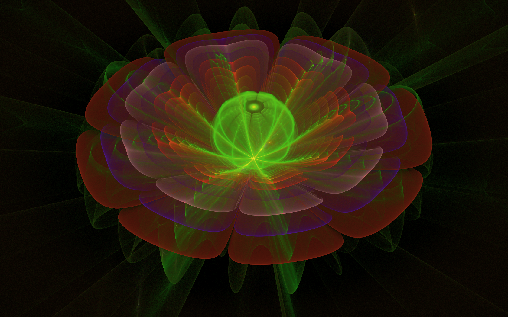 Another fractal flame that looks like a flower