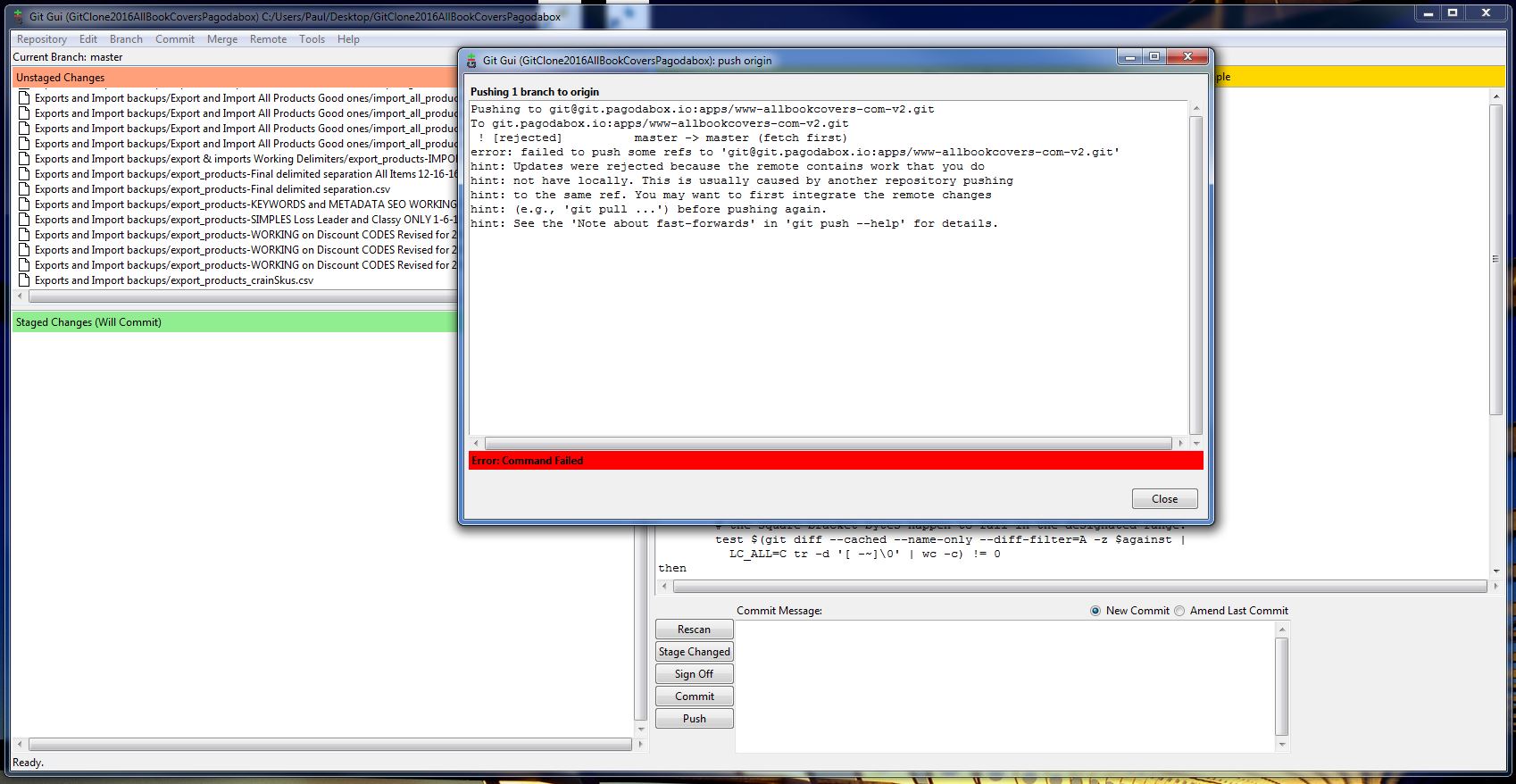 erro rwhen pushing with correct .git Folder in place