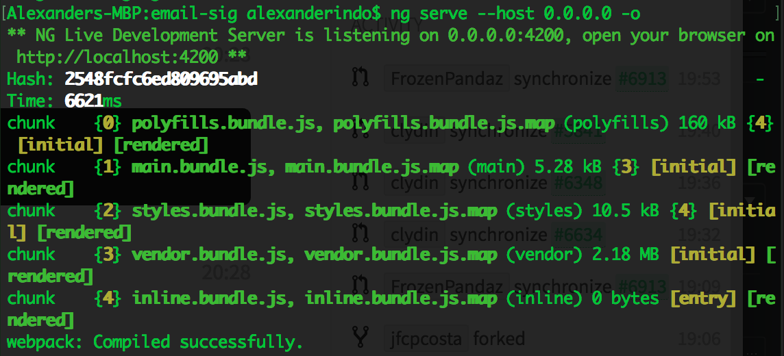 angular-cli output