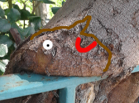 Pareidoliac