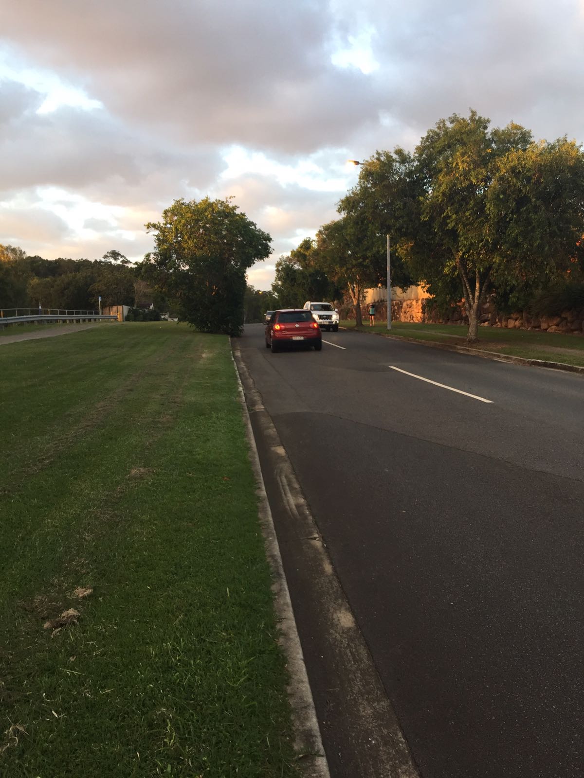 Image1 - Tree branches onto road
