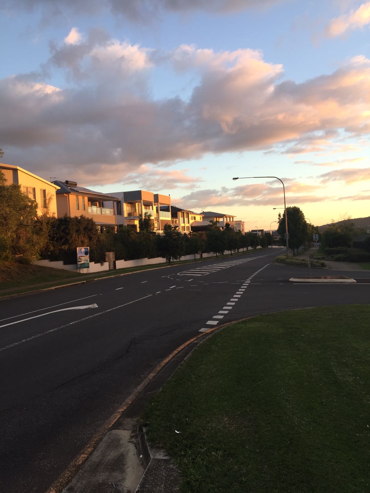 Image2 - Tree branches obstructing pedestrian traffic view crossing road