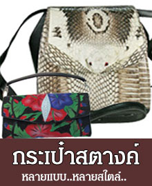 <P><a href="http://www.thaiwallet.com/category/21/กระเป๋า"><b>กระเป๋าแฟชั่น</b></a>