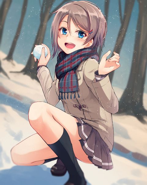 RIS.jpg