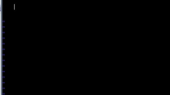 vim_indent_issue_1.jpg
