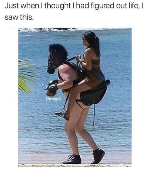 RIS.jpg