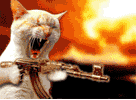 17397440a8e1924c8d.gif