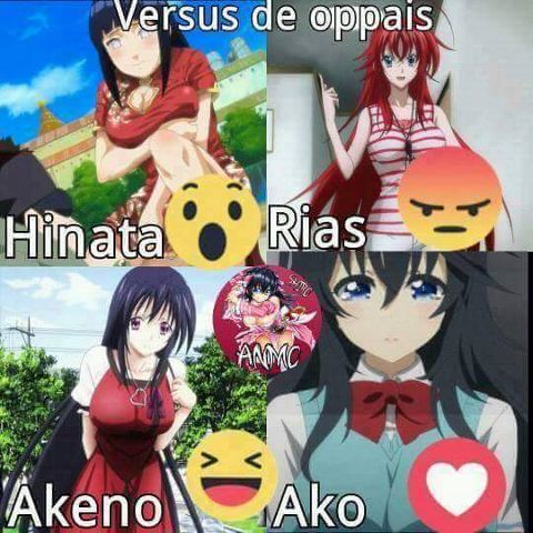 RIS.jpg