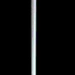 369669.jpg