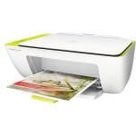 369988.jpg