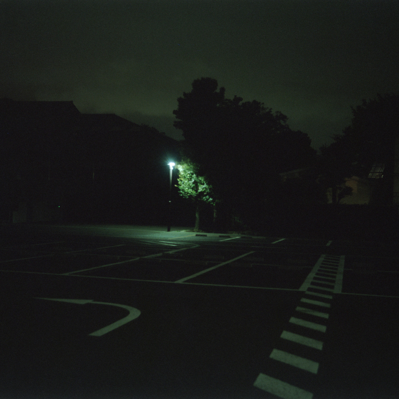 tumblr_ocf3j2YtdD1rwvr3ko1_1280.jpg