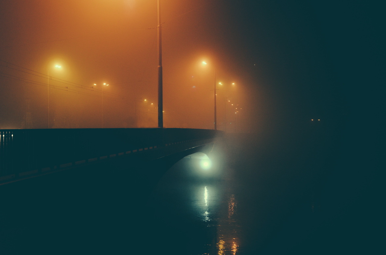 tumblr_muiokfWlcz1qix6w7o1_1280.jpg