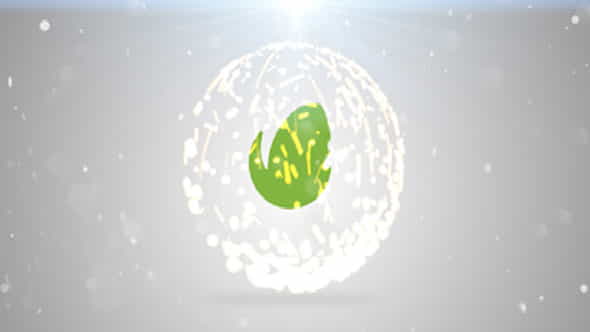 9071030-light-reveal.jpg