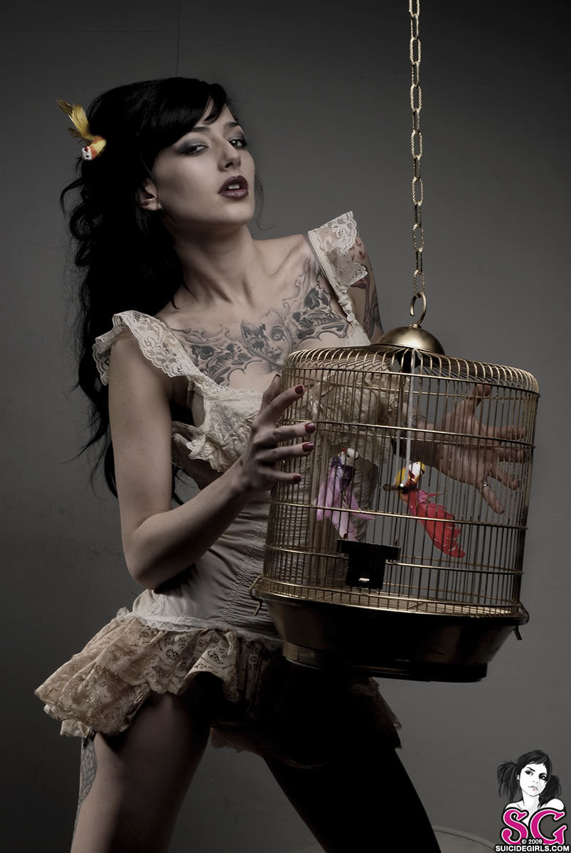 paula-andthebirds-03.jpg