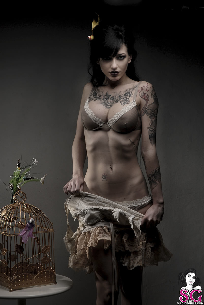 paula-andthebirds-13.jpg