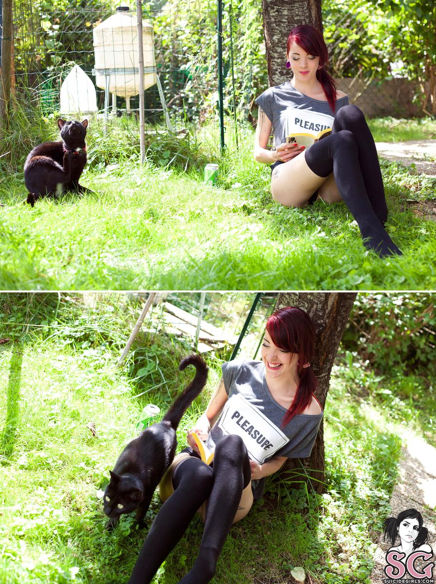 skywonder-lazyday-03.jpg