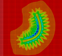 03_01_Form_and_Structure_support_02.png