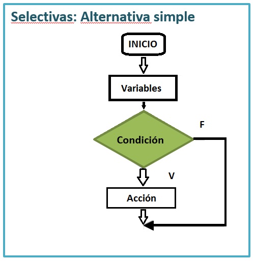 selectivassimples.jpg