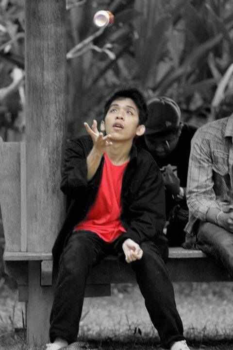 RIS.jpg