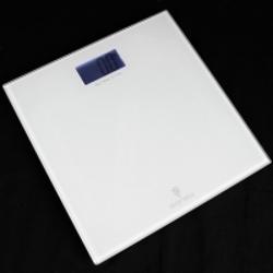 374230_big.jpg