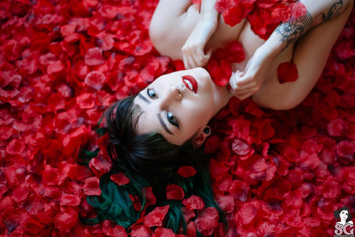 dojikko-americanbeauty-01.jpg