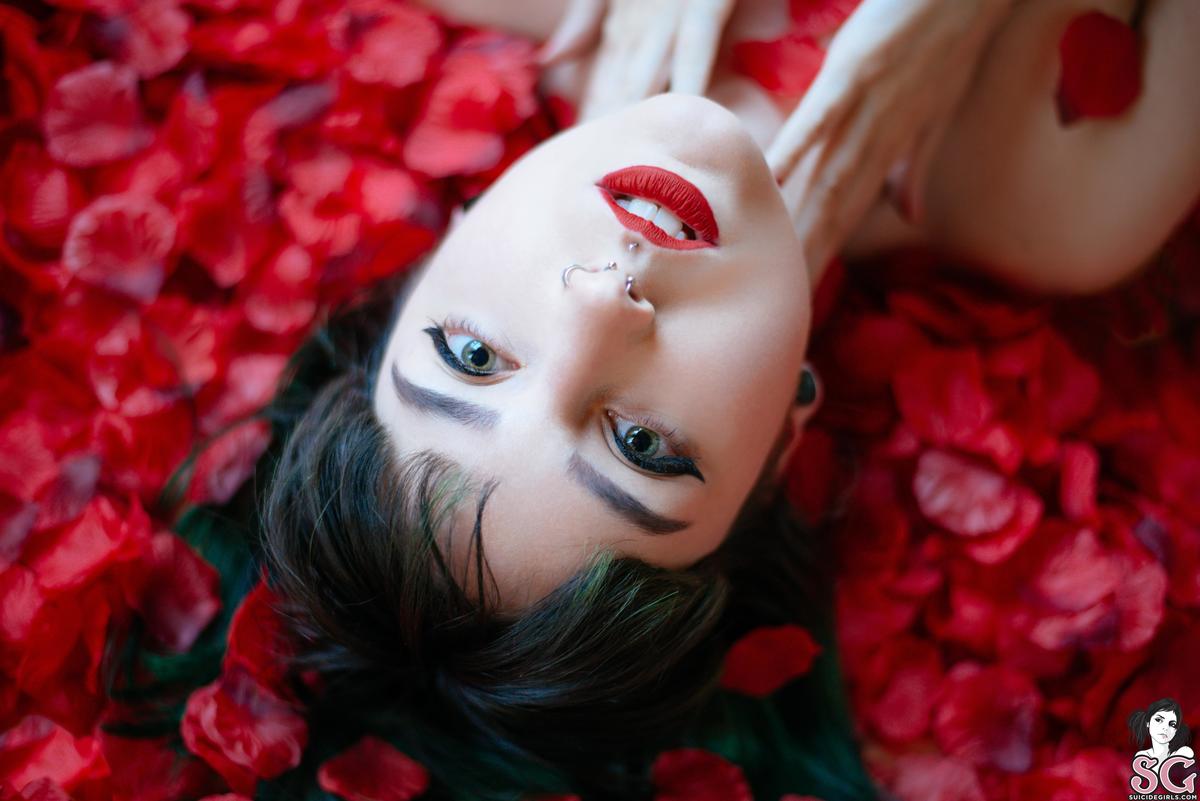 dojikko-americanbeauty-03.jpg