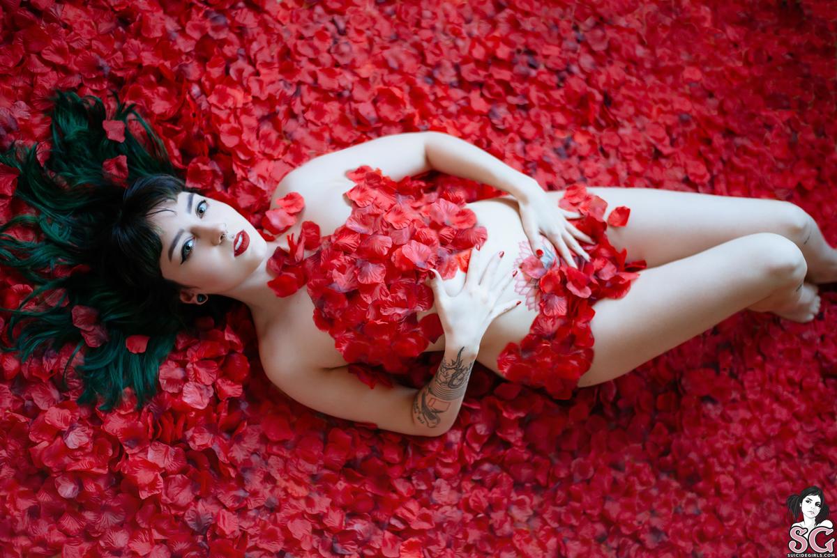 dojikko-americanbeauty-05.jpg