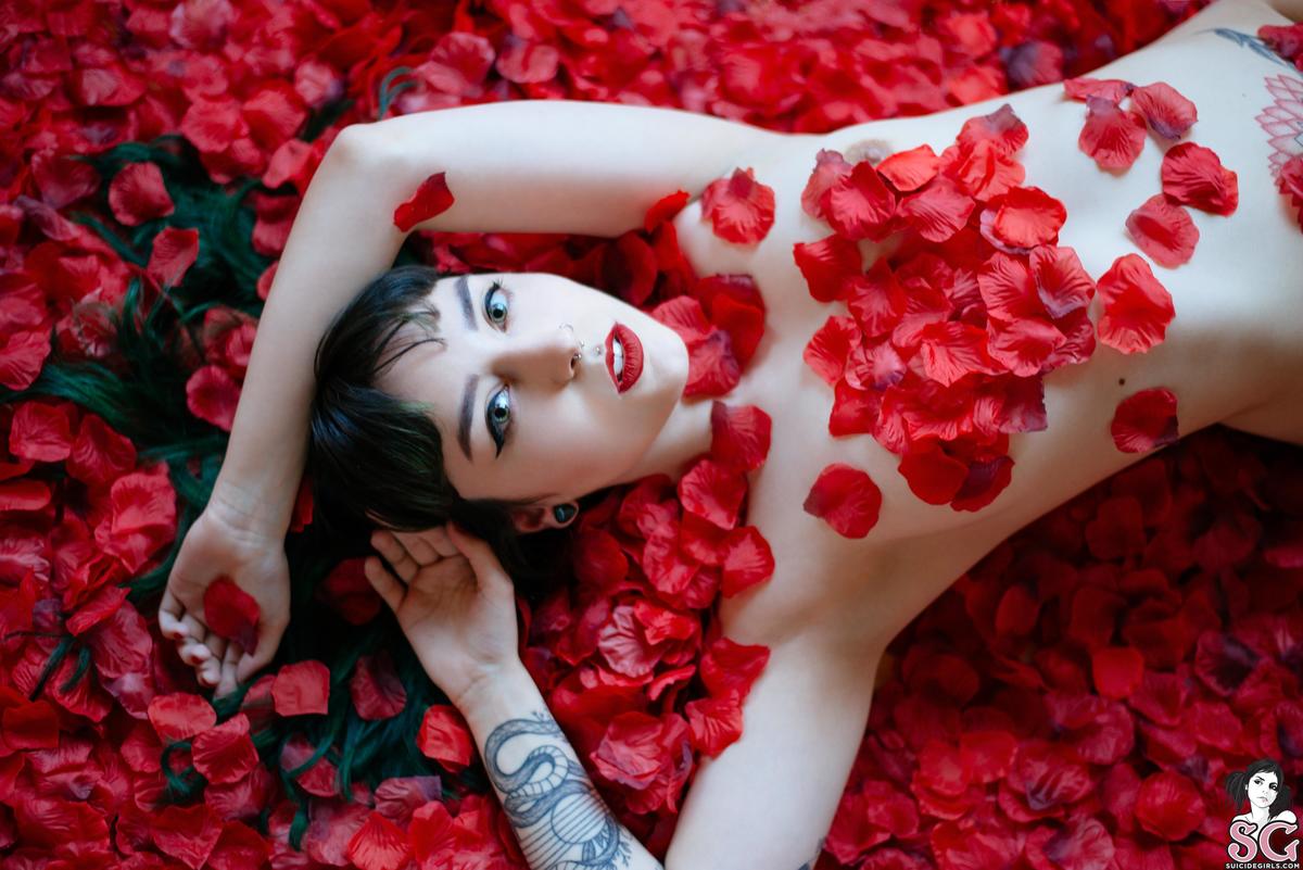 dojikko-americanbeauty-07.jpg