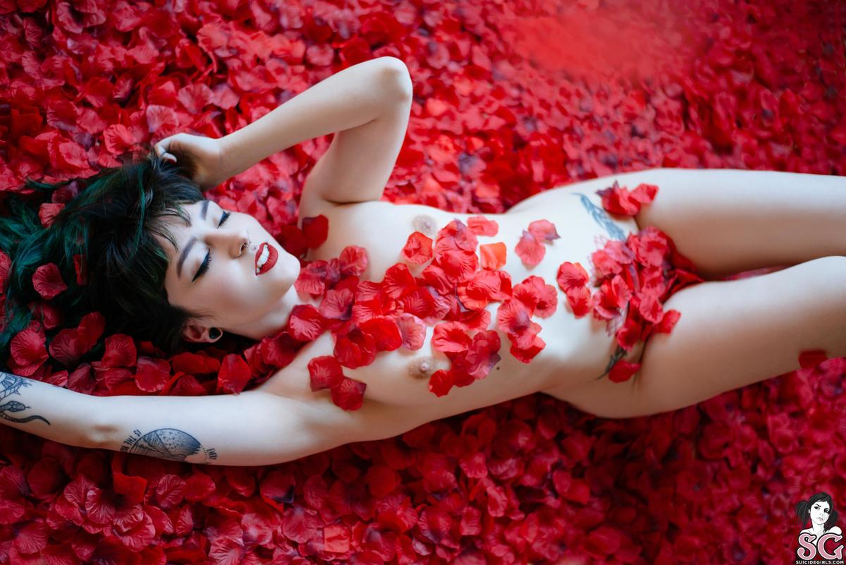 dojikko-americanbeauty-09.jpg