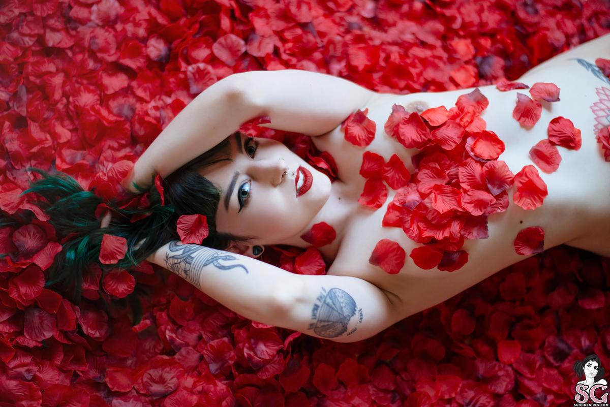 dojikko-americanbeauty-11.jpg