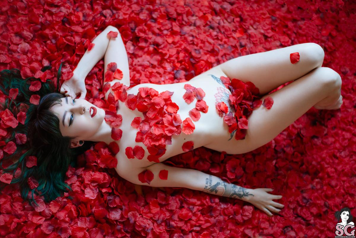 dojikko-americanbeauty-13.jpg