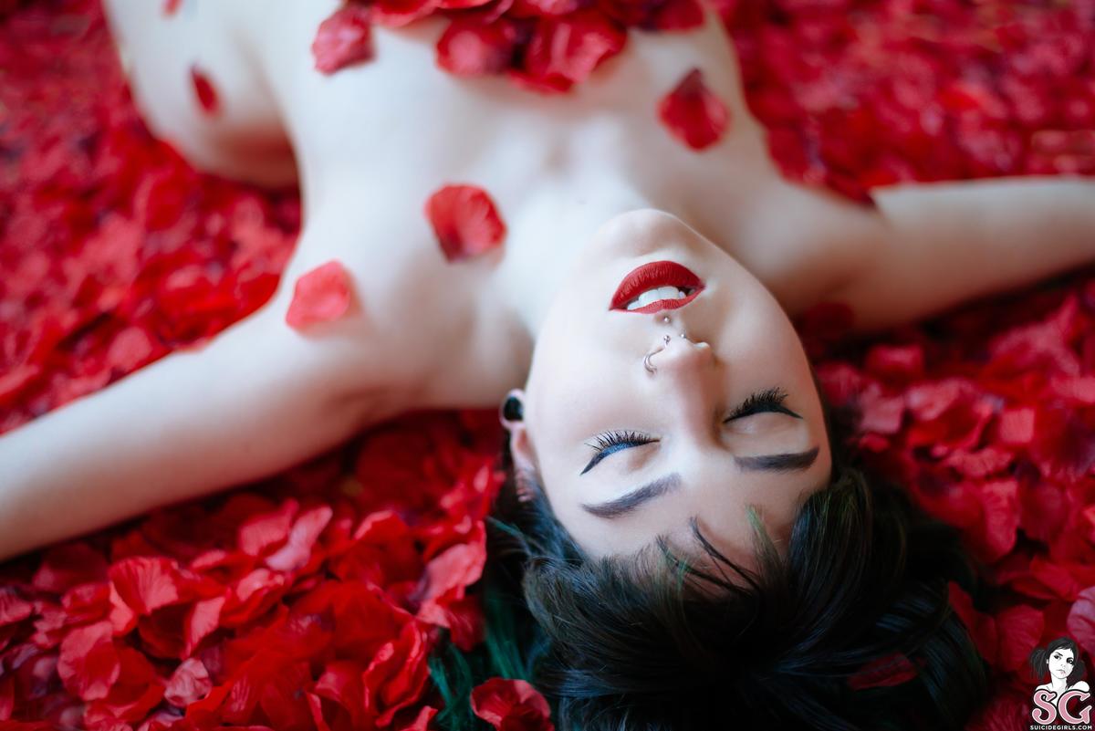 dojikko-americanbeauty-15.jpg