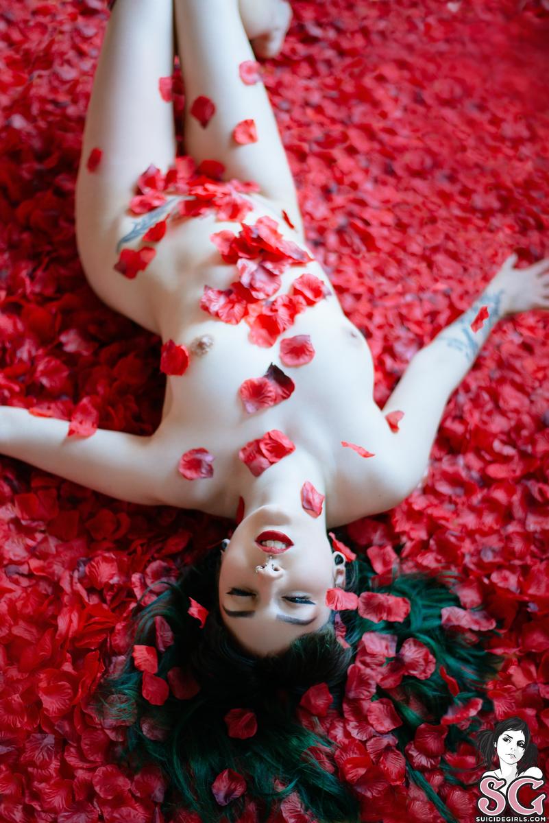 dojikko-americanbeauty-17.jpg