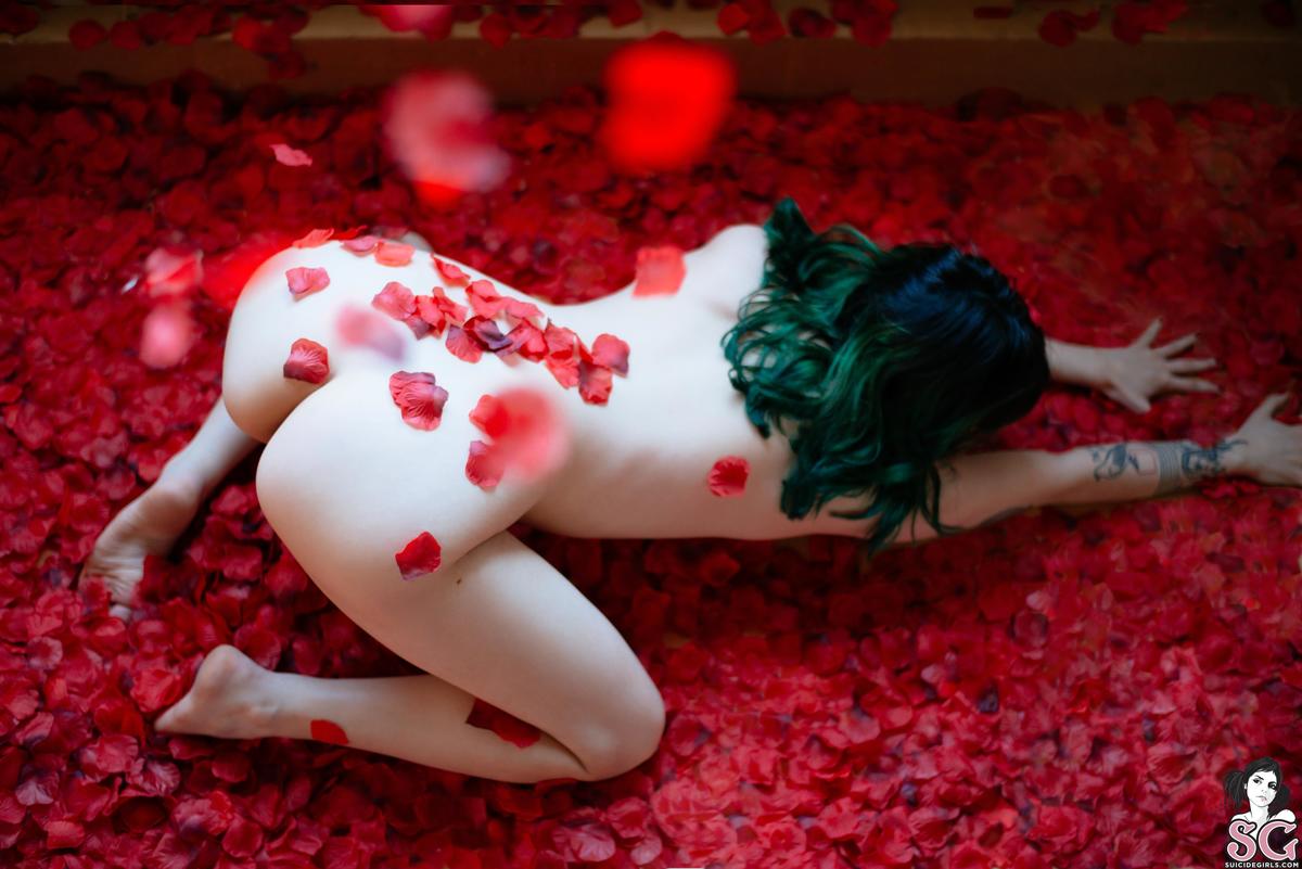 dojikko-americanbeauty-27.jpg