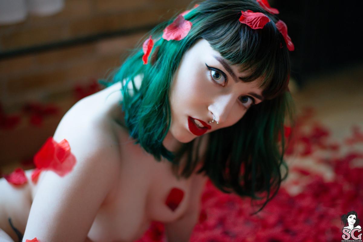 dojikko-americanbeauty-31.jpg