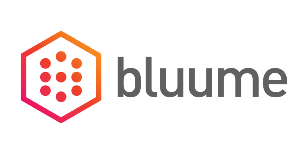 BluumeLogo.png