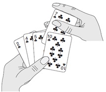 38.jpg