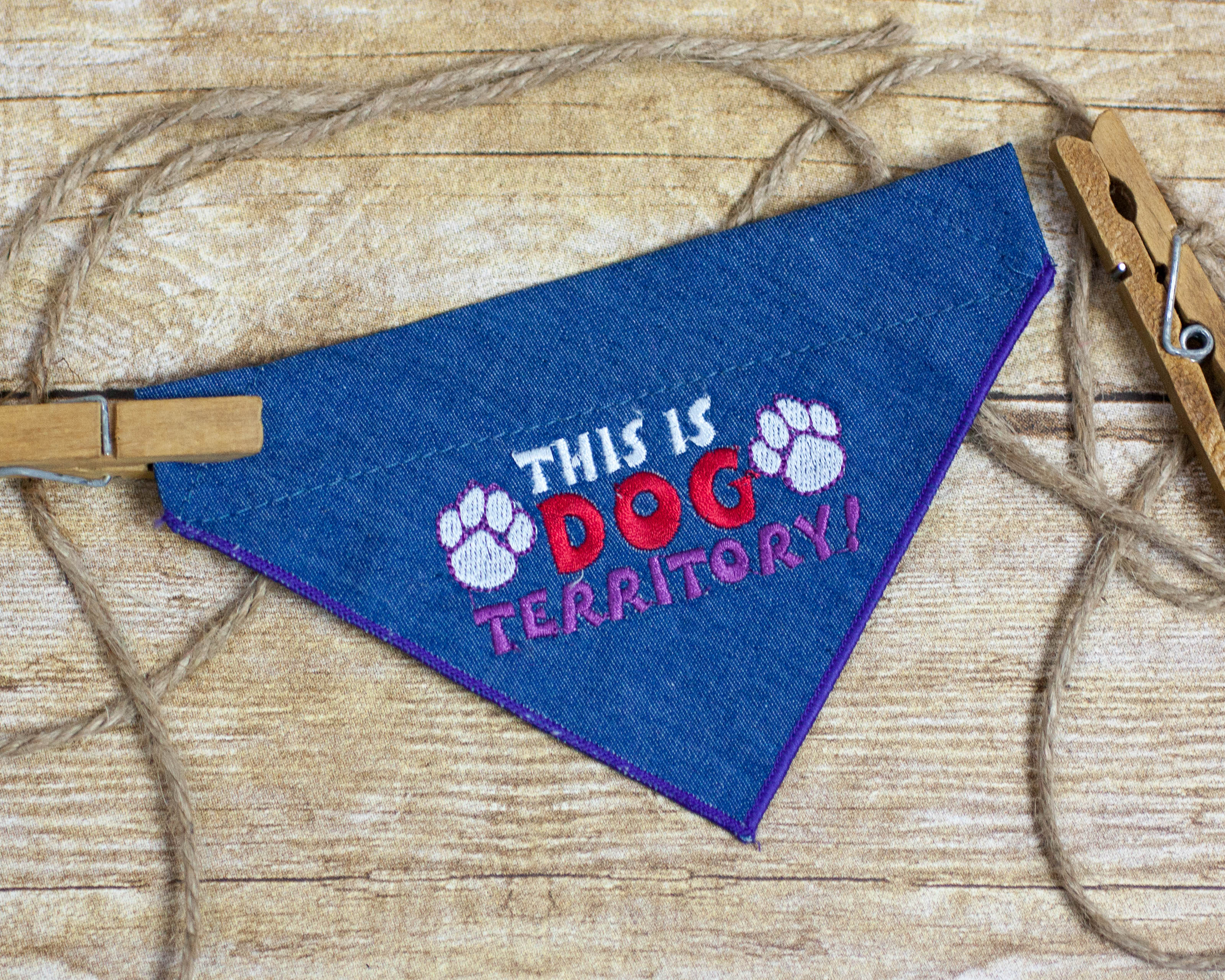 EmbroideredBandana-9486.jpg