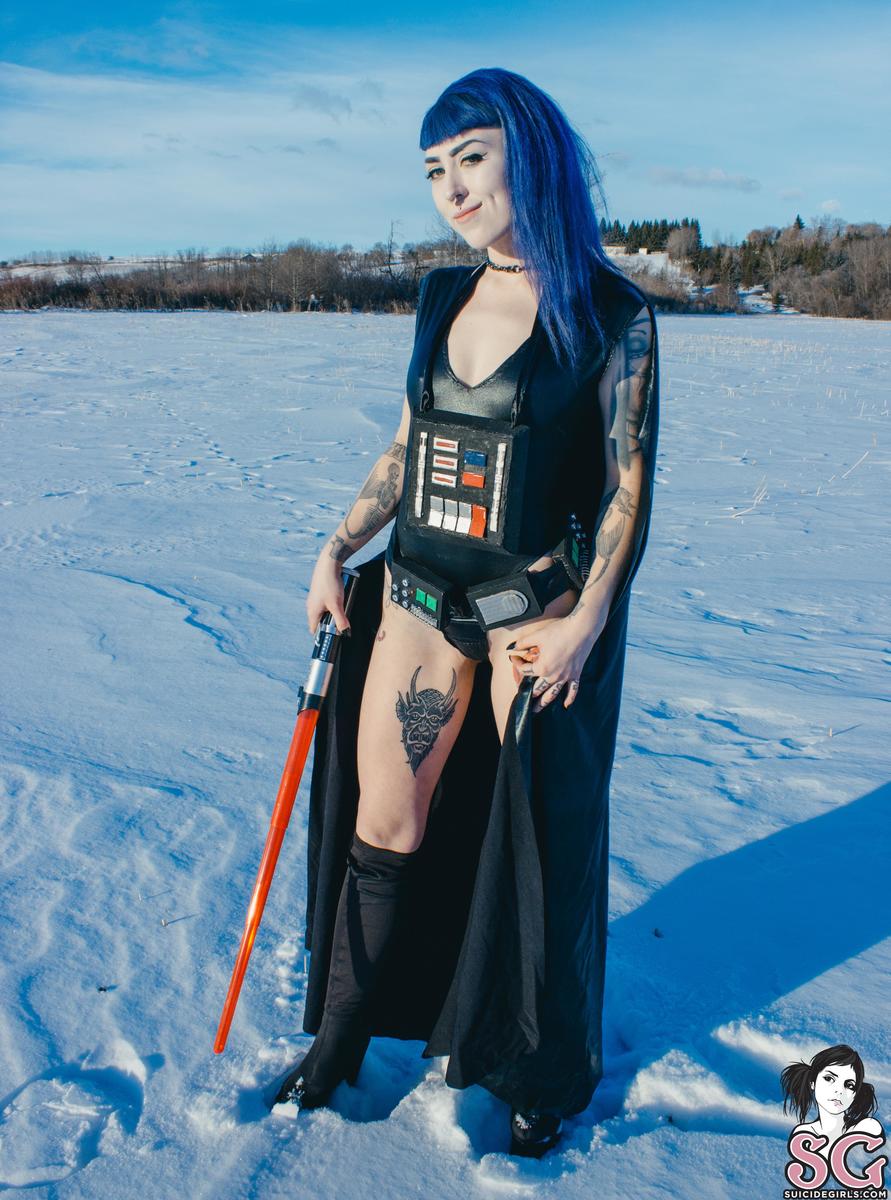 vader-hoth-07.jpg