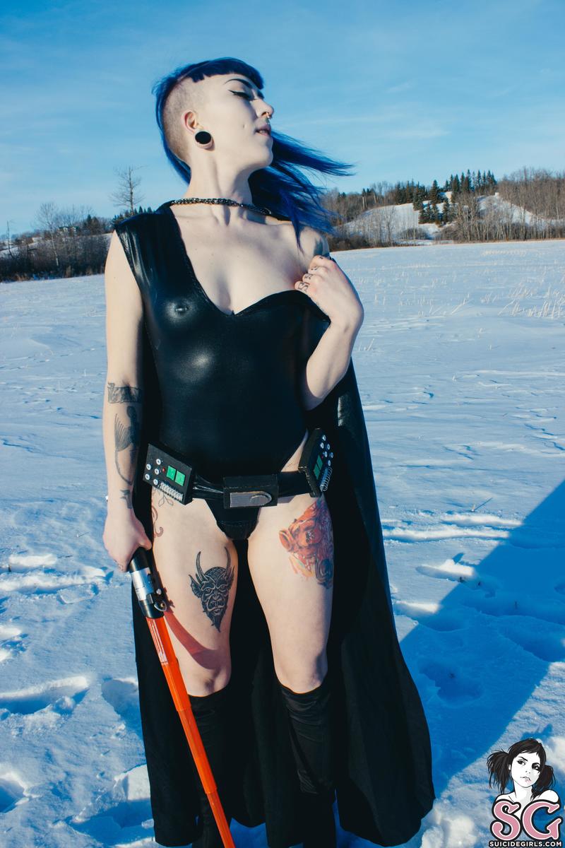 vader-hoth-21.jpg